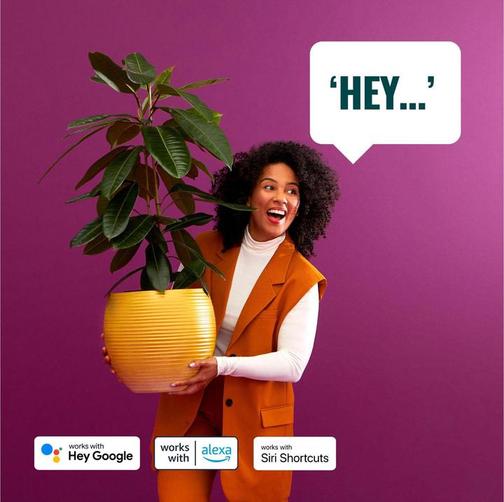 Actual product image