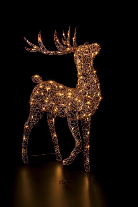 Actual product image STT Finn Reindeer