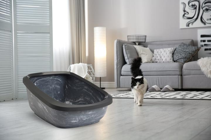 Immagine prodotto Savic Aseo Jumbo Marble - antracite-Marmo bianco antracite