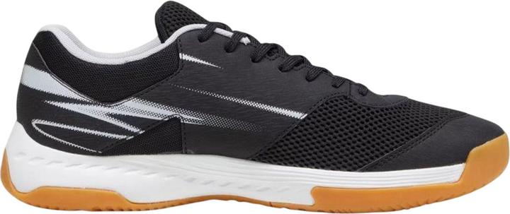 Black, pumablackcoollightgrayyellowblazegum