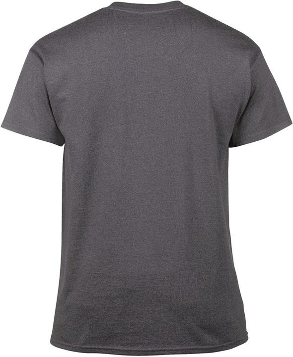 Actual product image Gildan Tshirt (L)