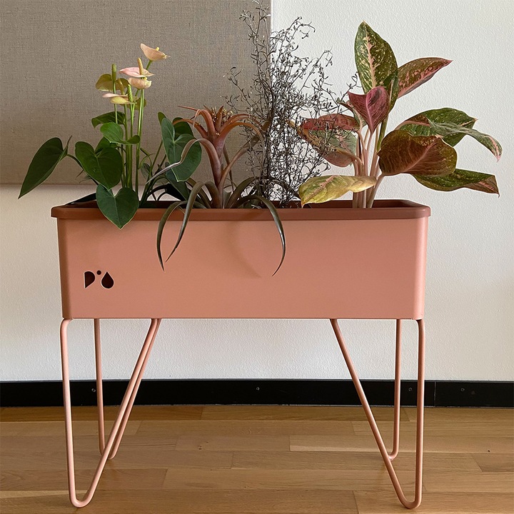 Immagine prodotto Pia-Plantbox Fioriera media (20 cm)