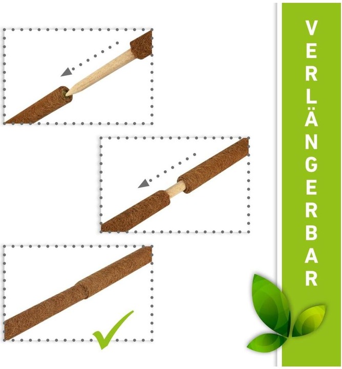 Immagine prodotto Windhager Pianta bastone di cocco (110 cm, 4.50 cm)