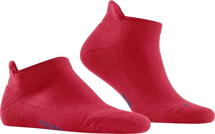 Rot