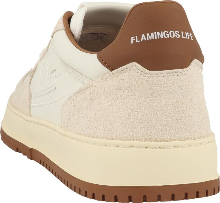 Image du produit Flamingos Life Ventura (41)