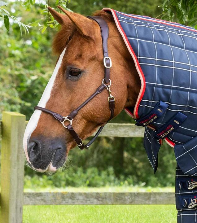 Produktbild Premier Equine Domus 200g (206 cm)