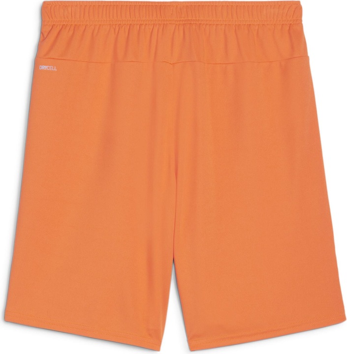 Actual product image Puma teamGOAL shorts (XL)