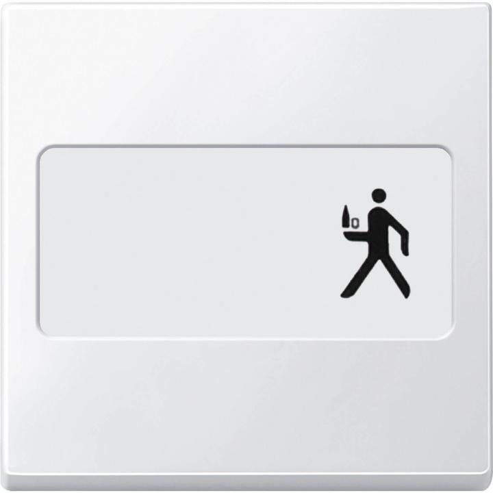 Actual product image Merten Rocker switch system M polws glz 434319