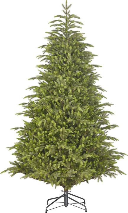 Actual product image Black Box Trees Felton Artificial Christmas Tree (215 cm)