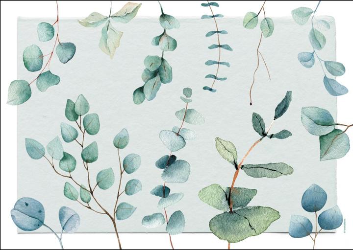 Image du produit Trendform Eucalyptus (12 pcs, 42 x 30 cm)