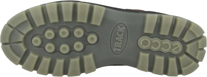 Actual product image Ecco Track 25 Low GTX (41)