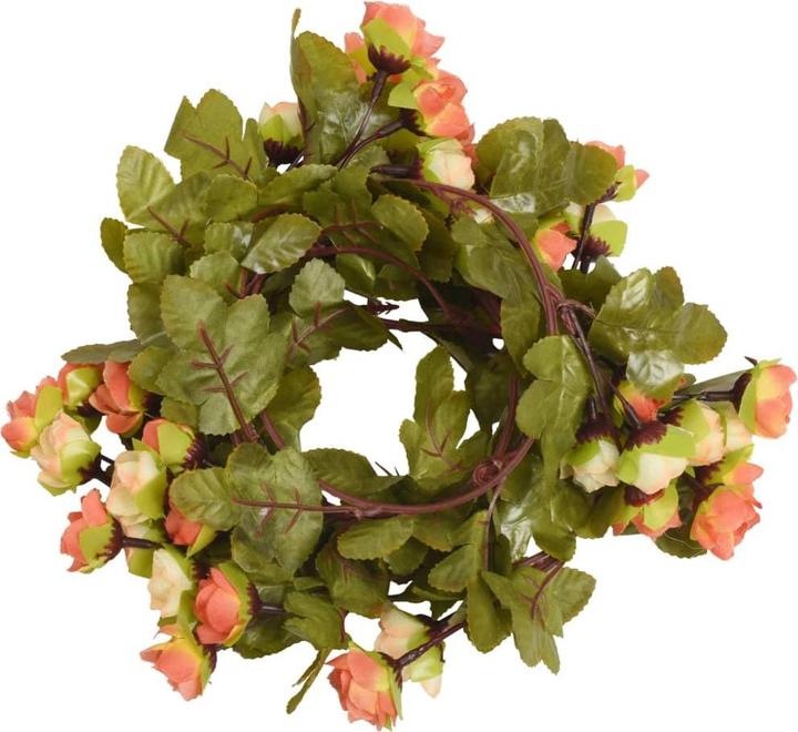 Immagine prodotto vidaXL Kranz