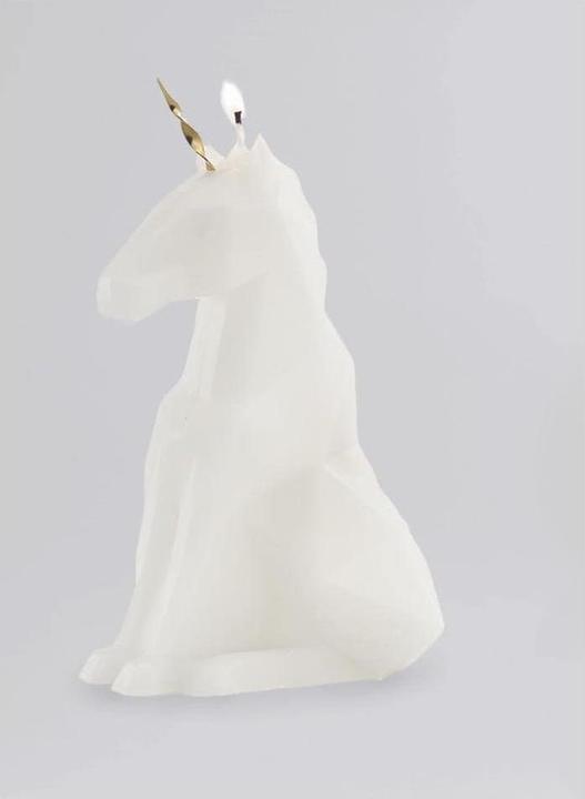 Actual product image 54Celsius PyroPet Einar (1 pcs.)