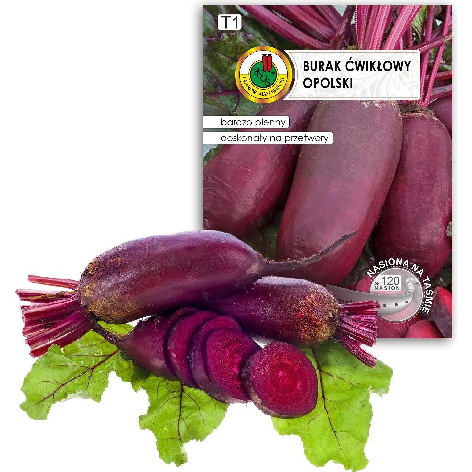 Apte, Semi, PNOS Samen auf Band Rote Bete Opole 6m Band (Semi di verdura)