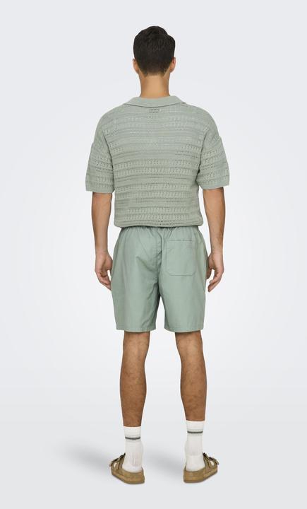 Produktbild Only & Sons ONSTEL Normal geschnitten Shorts Shorts