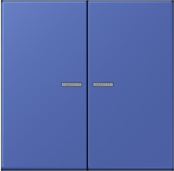 Produktbild JUNG Taster