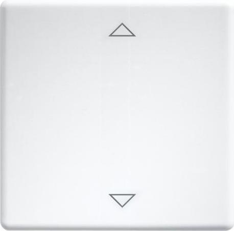 Actual product image Eltako Rocker