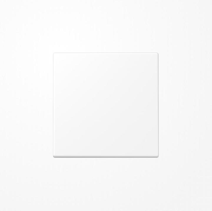 Actual product image JUNG Rocker f.switch/button LS990WWM snow white matt