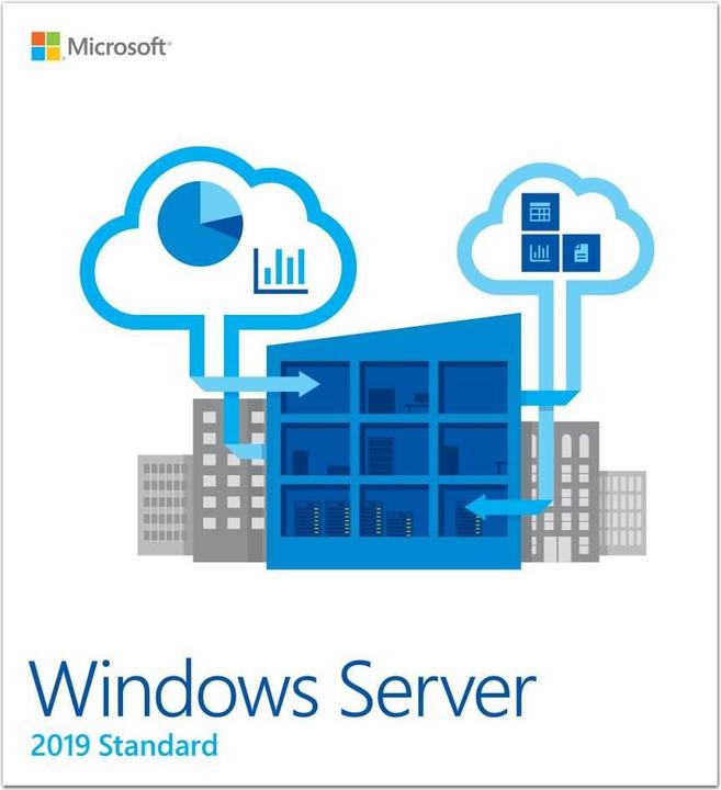 Actual product image Microsoft SB WIN SERVER STANDARD 2019 (1 User, unlimited)