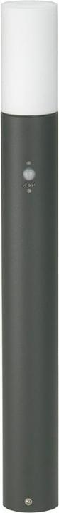 Actual product image Albert Leuchten Outdoor lights with motion detector (E27, IP54)