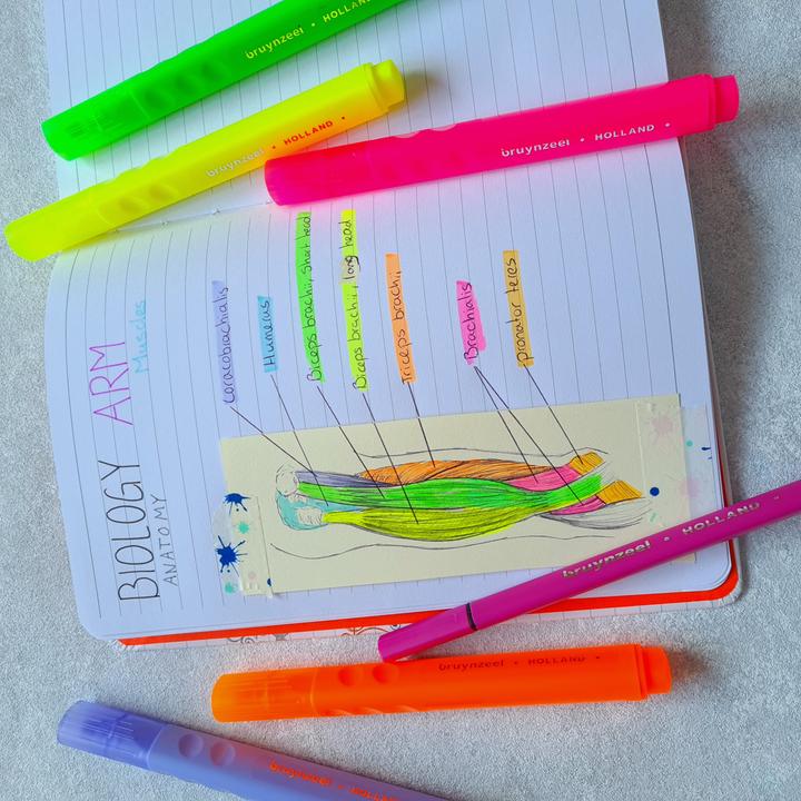 Produktbild Bruynzeel Filzstifte Neon 4 Farben (4x)