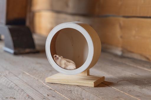 Produktbild Karlie Bogie Wheel Kork