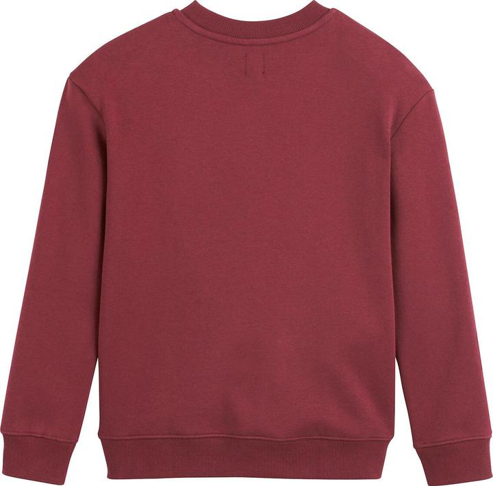 Immagine prodotto La Redoute Collections Felpa stile Capus