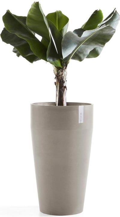 Actual product image Ecopots Sankara