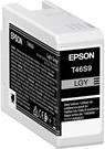 Immagine prodotto Epson T46S9 (LGY)