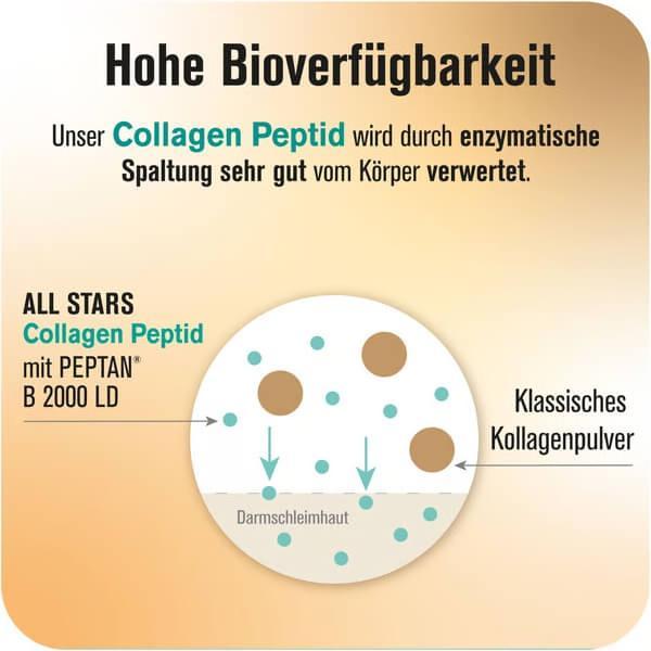 Produktbild All Stars Collagen Peptides (1 Stück, Pulver, 300 g)