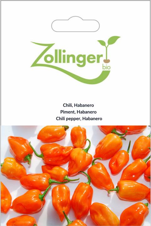 Zollinger Bio Chili, Habanero (Vegetable seeds)