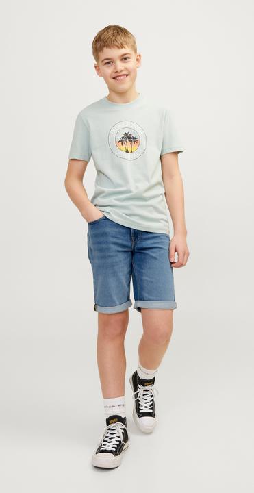 Actual product image Jack & Jones Regular Fit Regular Fit Shorts For boys Regular Fit Shorts (140)