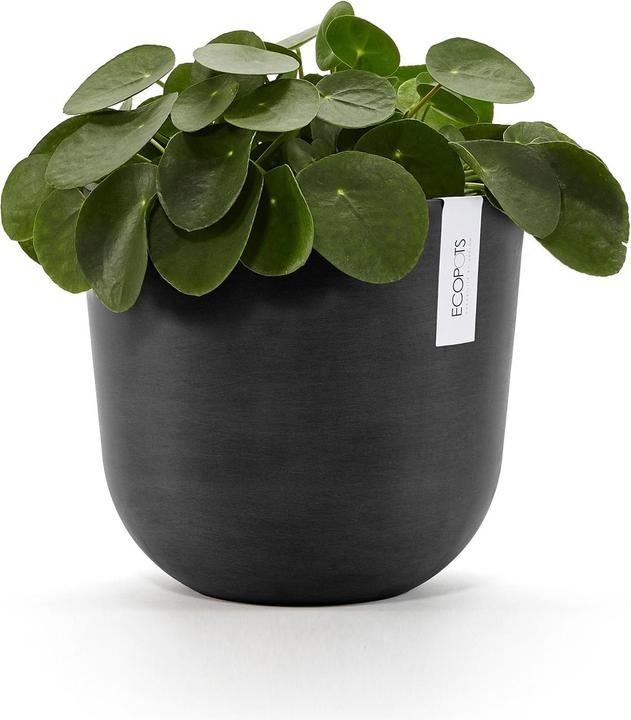 Actual product image Ecopots Oslo (25 cm)