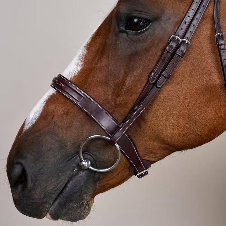 Image du produit Dy'on Cavesson Hunter US Collection