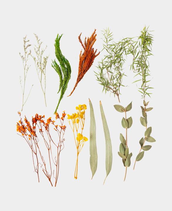 Image du produit I Am Creative Kit de fleurs séchées (Fleurs séchées)