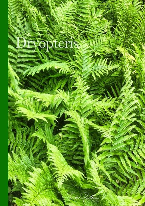 Image du produit Dryopteris (A5, Pointillés)