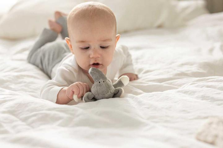 Image du produit Teddykompaniet Rassel Elefant grau 14 cm