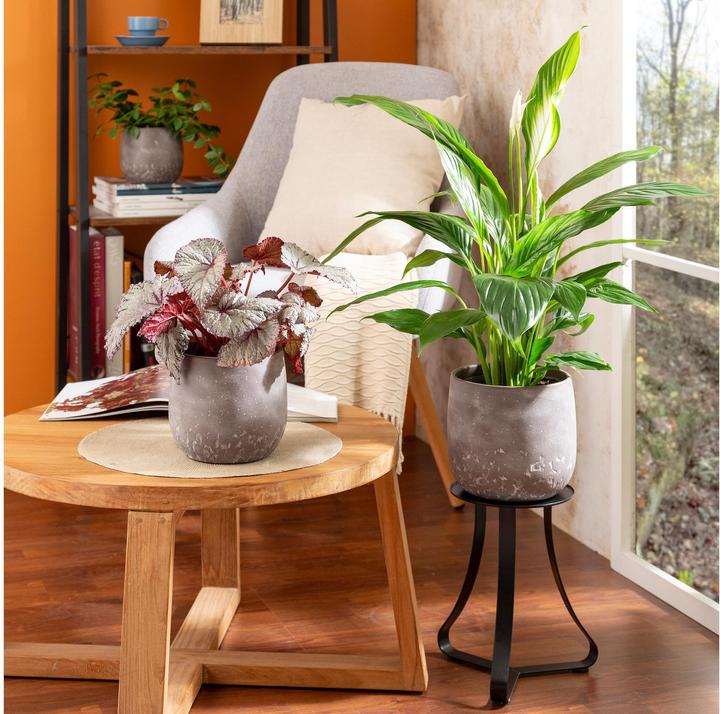 Image du produit Scheurich Pot de fleurs Dune 6.1 l, Marron (19 x 17 cm)