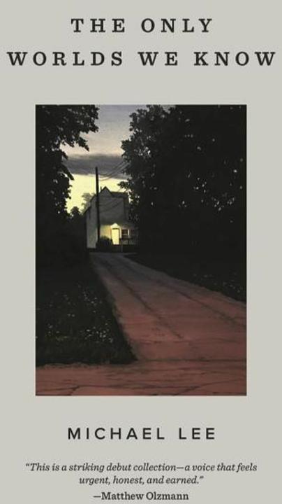 Produktbild The Only Worlds We Know (Englisch, Michael Lee, 2019)