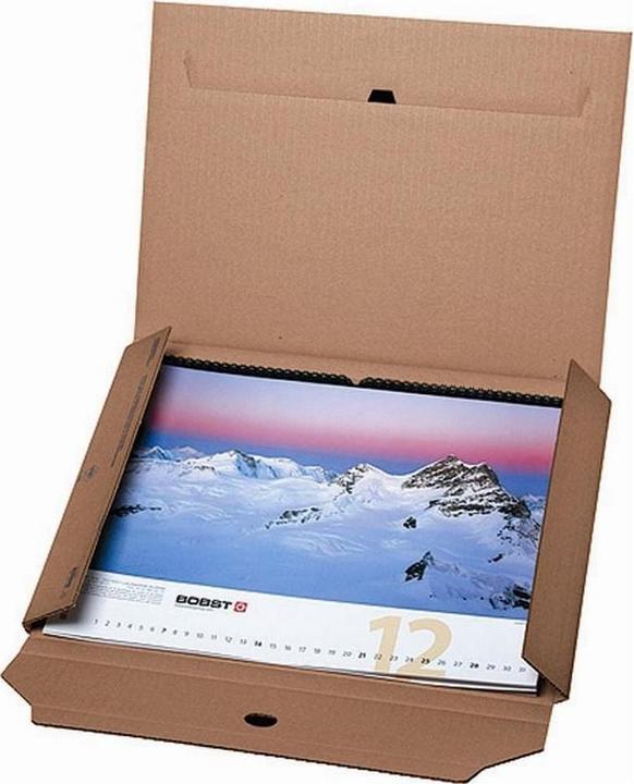 Immagine prodotto Brieger Scatola di spedizione con tasca interna (0,5 x 60 x 78,5 cm, 1 x)