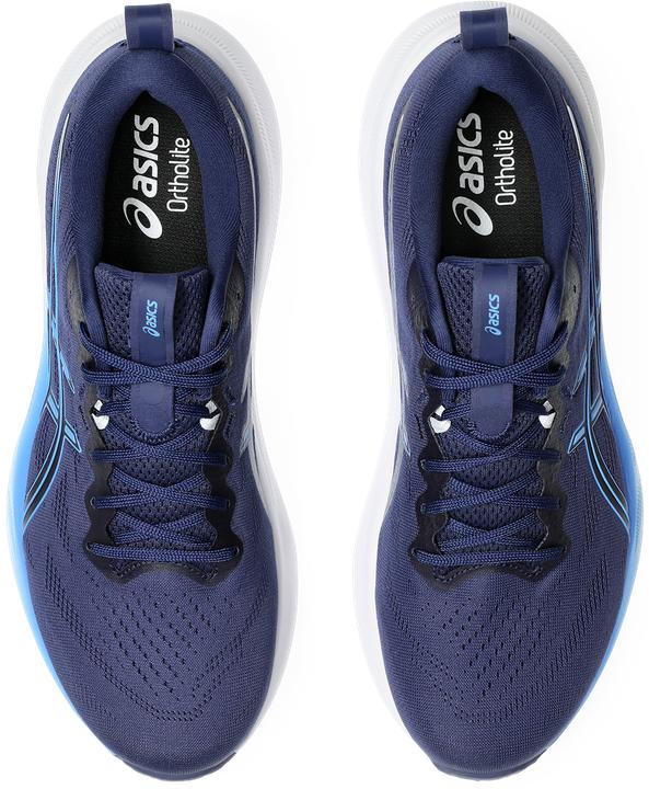 Produktbild ASICS Performance Gel-Pulse 16 - 64507 (44.5)