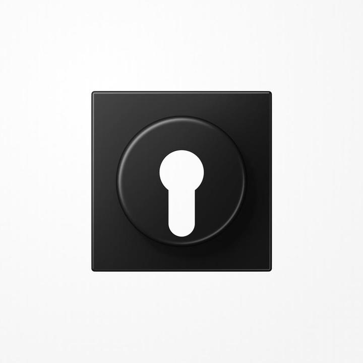 Actual product image JUNG Cover key LS gra-sw mt LS928SWM