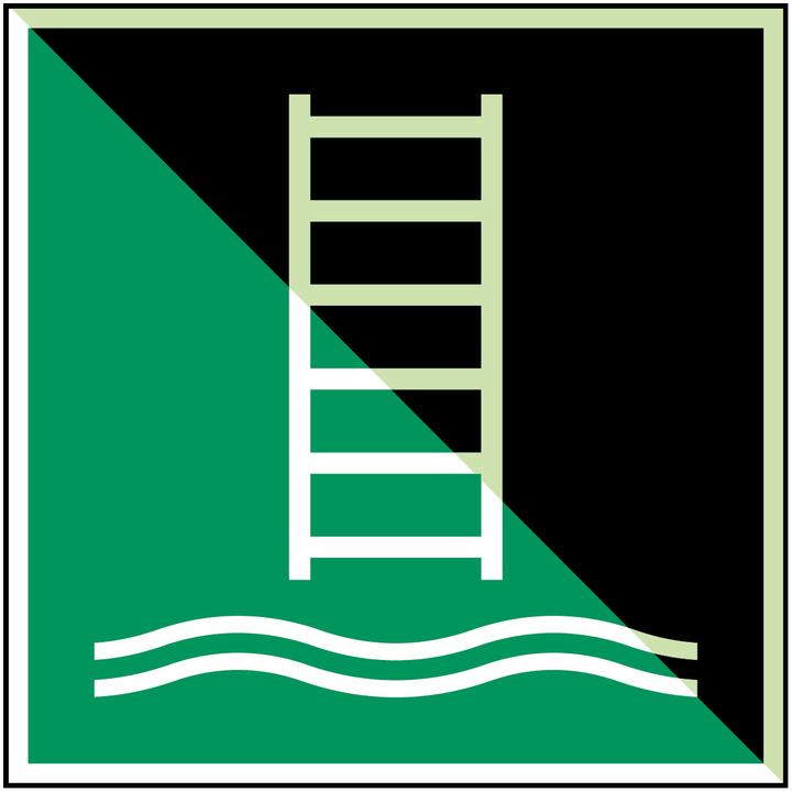 Actual product image Brady ISO safety sign - on-board ladder
