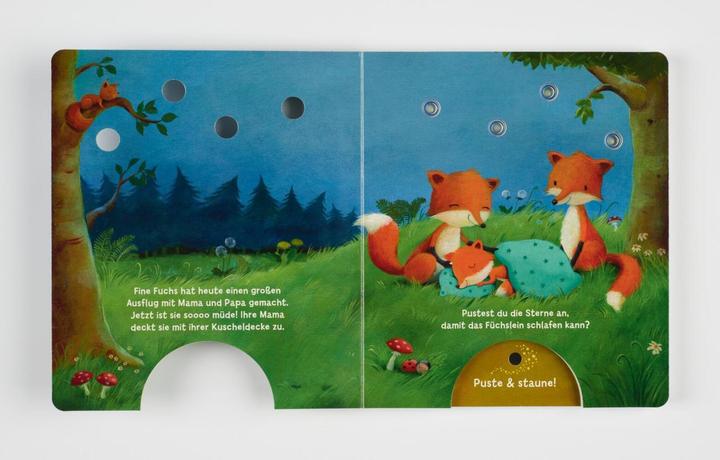 Immagine prodotto Mein Puste-Licht-Buch: Wenn im Dunkeln Sterne funkeln (Tedesco, Christina Nömer, 2020)