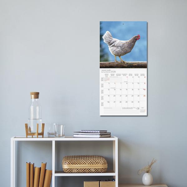 Produktbild Hhner 2026 (30 x 30 cm)