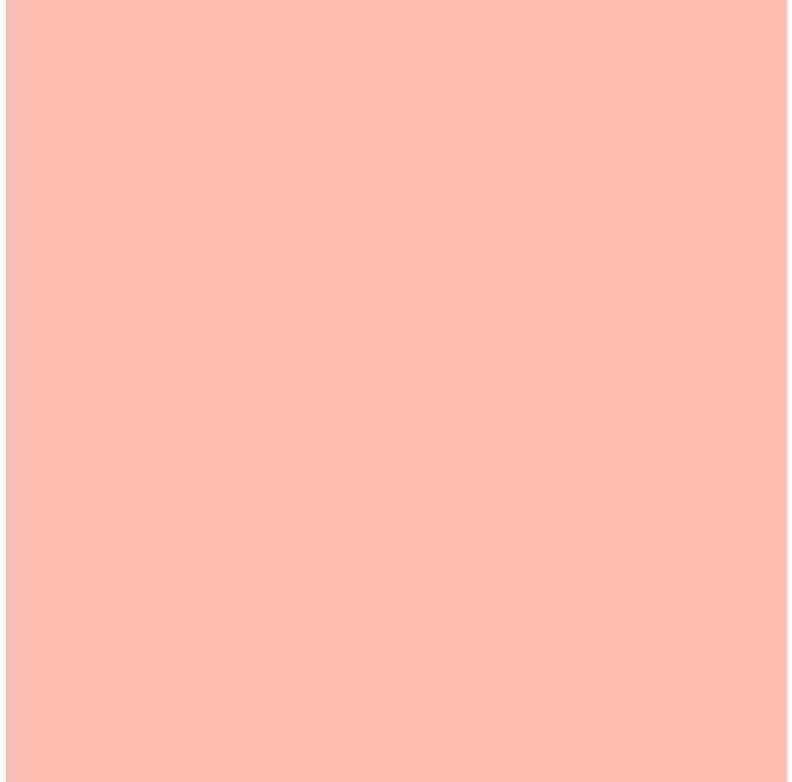 Image du produit Duni Servir (250 pcs, 24 x 24 cm)