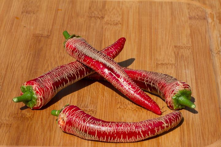 Image du produit Zollinger Bio Chili, Eléphant (Germes)
