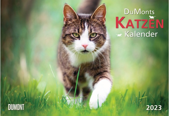 Chats (42 x 29 cm, Couverture souple, Allemand)