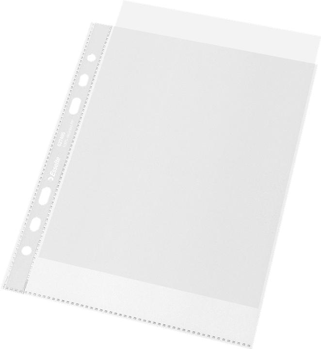 Image du produit Leitz Pochette à prospectus (A5, 100x)