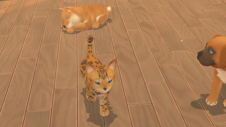 Image du produit Maximum Games My Universe - Chiens et chatons (Switch, IT)
